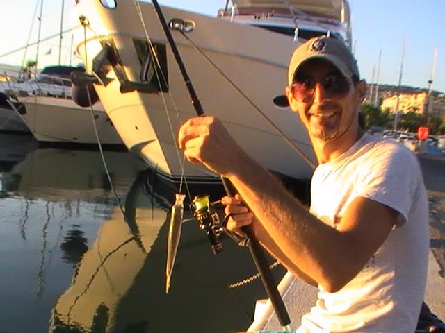 incep sa apara pesti din franta - 2013-09-05-193334.jpg